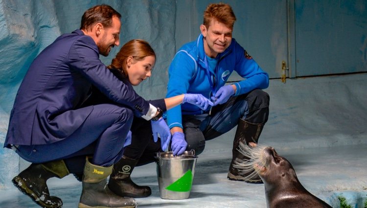 Ingrid de Noruega da de comer a una foca junto a Haakon de Noruega