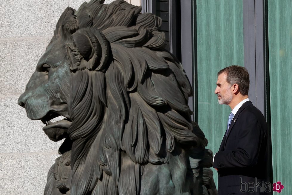 El Rey Felipe con el león del Congreso