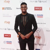 Famous en la alfombra roja de los Premios Forqué 2019