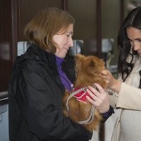 Meghan Markle acariciando a un perro durante su visita a un centro de acogida