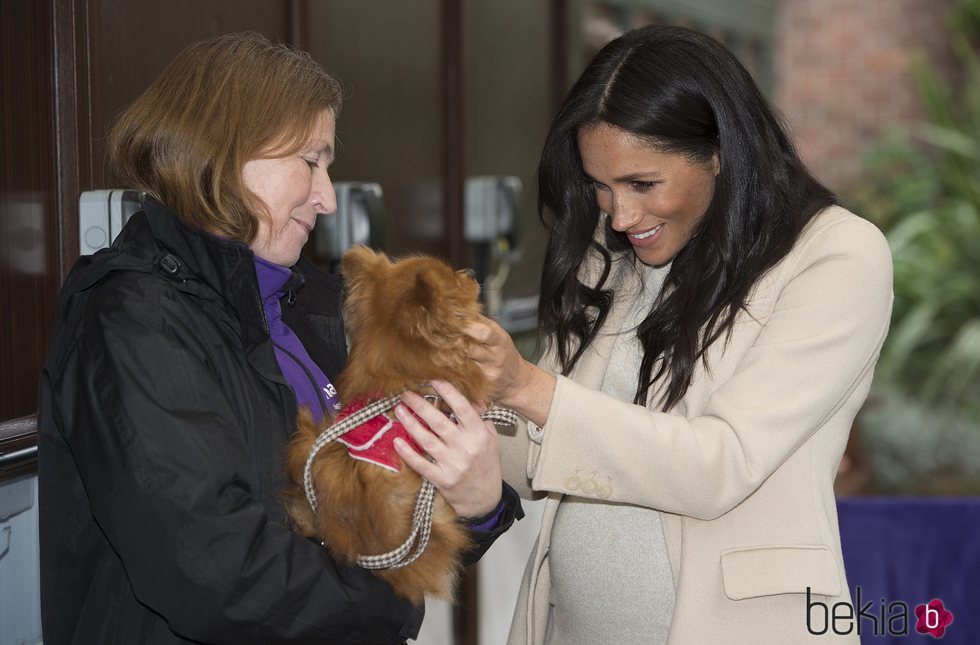 Meghan Markle acariciando a un perro durante su visita a un centro de acogida