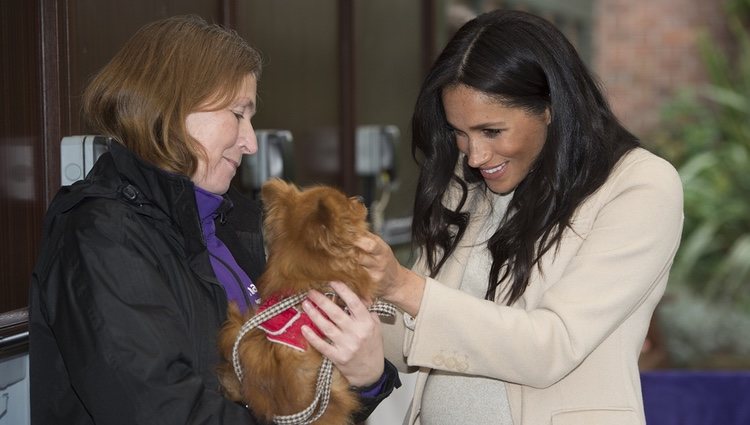 Meghan Markle acariciando a un perro durante su visita a un centro de acogida