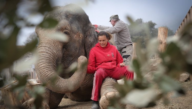 La Princesa Estefanía de Mónaco posa con un elefante en un refugio de animales