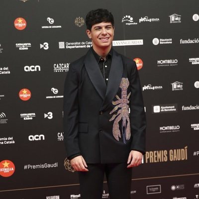 Alfombra roja de los Premios Gaudí 2019