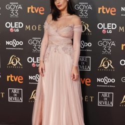 Dulceida en la alfombra roja de los Premios Goya 2019