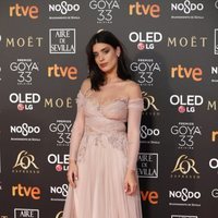 Dulceida en la alfombra roja de los Premios Goya 2019