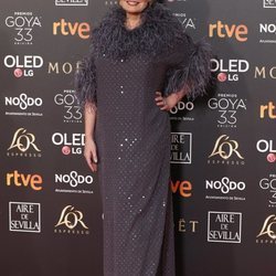 Ainhoa Arteta en la alfombra roja de los Premios Goya 2019