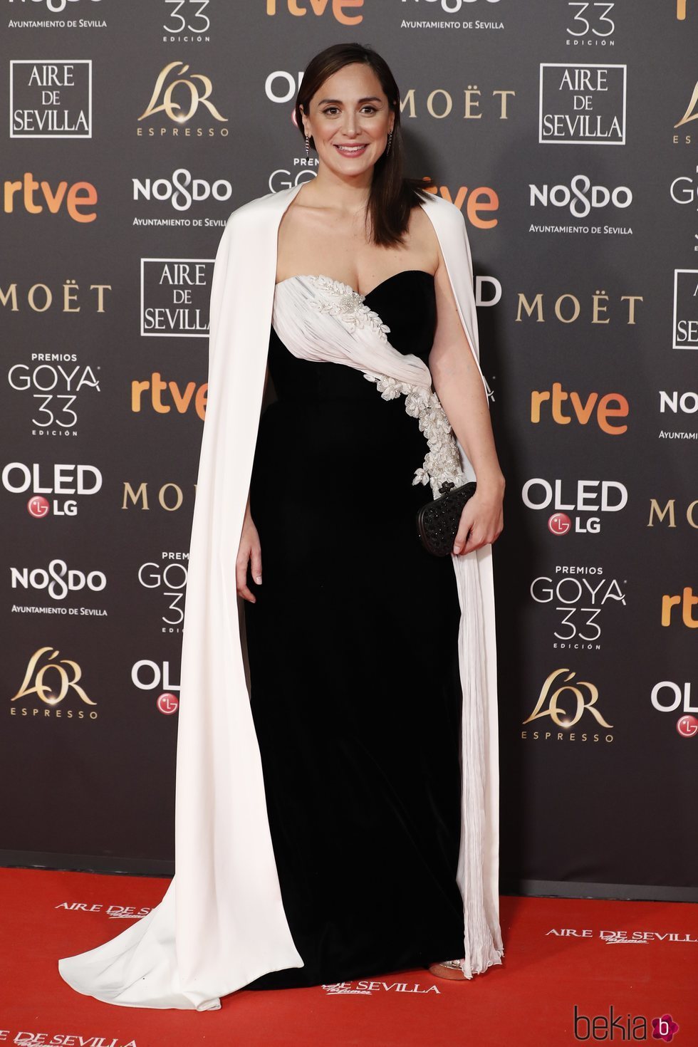 Tamara Falcó en la alfombra roja de los Premios Goya 2019