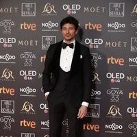 Andrés Velencoso en la alfombra roja de los Premios Goya 2019