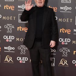 Pedro Almodóvar en la alfombra roja de los Premios Goya 2019