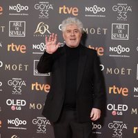 Pedro Almodóvar en la alfombra roja de los Premios Goya 2019