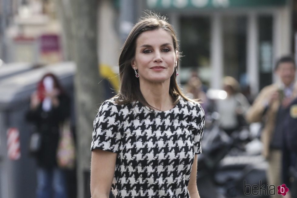 La Reina Letizia en la entrega de Medallas al Mérito en las Bellas Artes