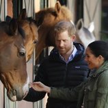 El Príncipe Harry y Meghan Markle acarician un caballo durante su visita a Marruecos