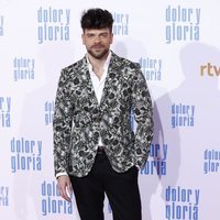 Ricky Merino en la alfombra roja de 'Dolor y gloria'