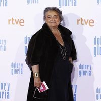 Elena Benarroch en la alfombra roja de 'Dolor y gloria'