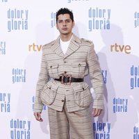 Eduardo Casanova en la alfombra roja de 'Dolor y gloria'