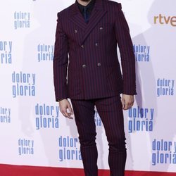 Asier Etxeandía en la alfombra roja de 'Dolor y gloria'