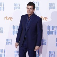 Antonio Banderas en la alfombra roja de 'Dolor y gloria'