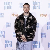 C. Tangana en la alfombra roja de 'Dolor y gloria'