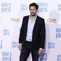 Juan Diego Botto en la alfombra roja de 'Dolor y gloria'