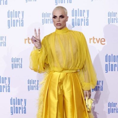 Alfombra roja de la presentación de la película 'Dolor y gloria'