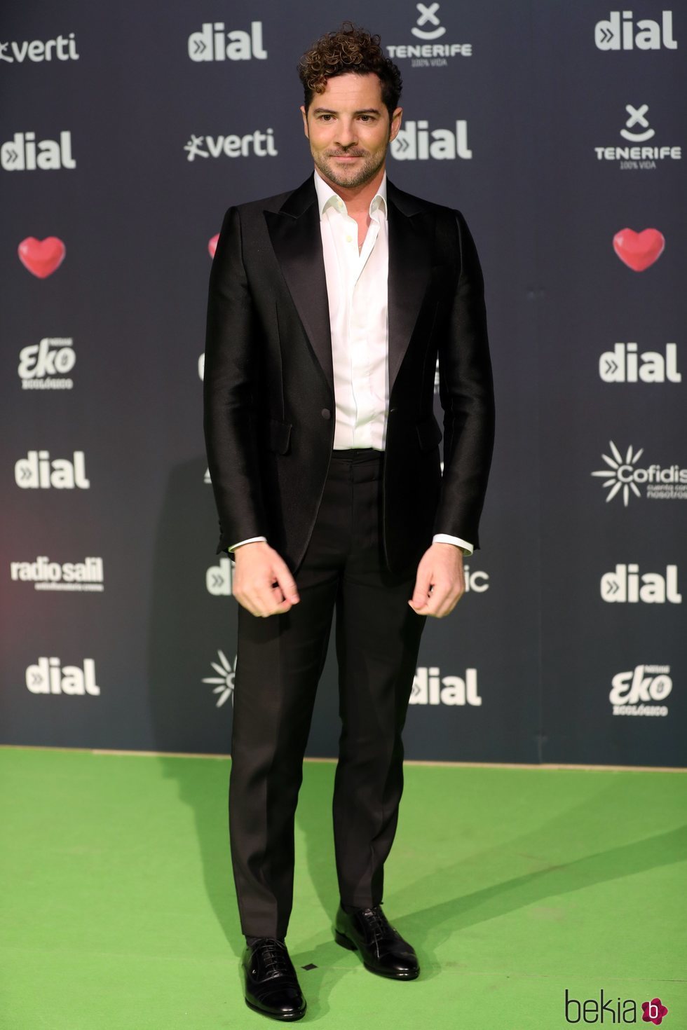 David Bisbal en los Premios Cadena Dial 2019 en Tenerife