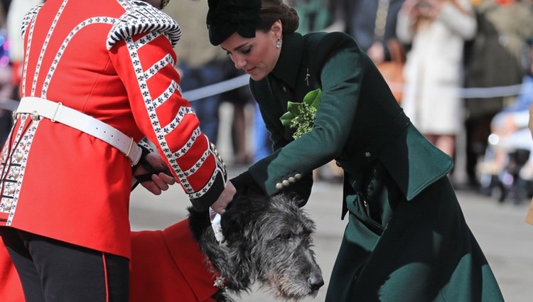 Kate Middleton pone el trébol a la mascota de la Guardia irlandesa