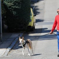 Jorge Javier Vázquez saliendo a pasear uno de sus perros