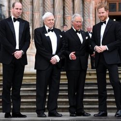 El Príncipe Carlos, el Príncipe Guillermo, el Príncipe Harry y David Attenborough en el estreno de 'Our Planet'