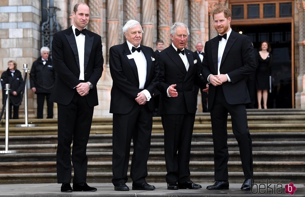 El Príncipe Carlos, el Príncipe Guillermo, el Príncipe Harry y David Attenborough en el estreno de 'Our Planet'