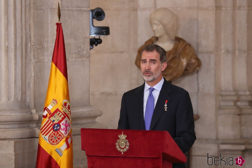 El Rey Felipe en su quinto aniversario de reinado