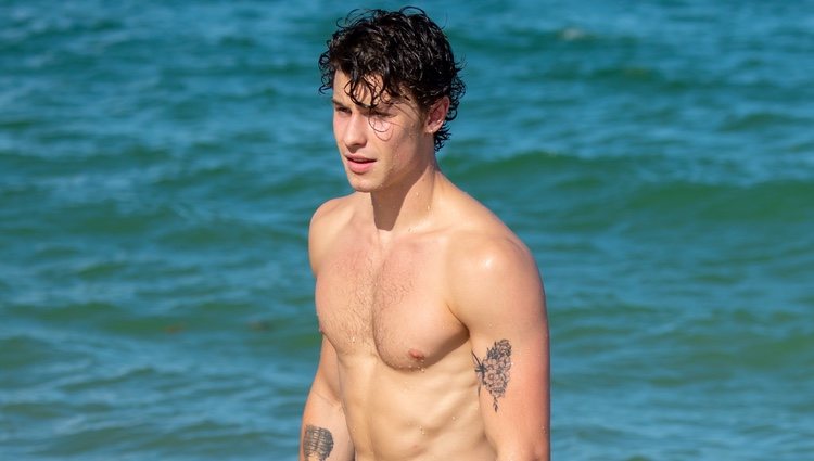 Shawn Mendes con el torso desnudo en Miami Beach