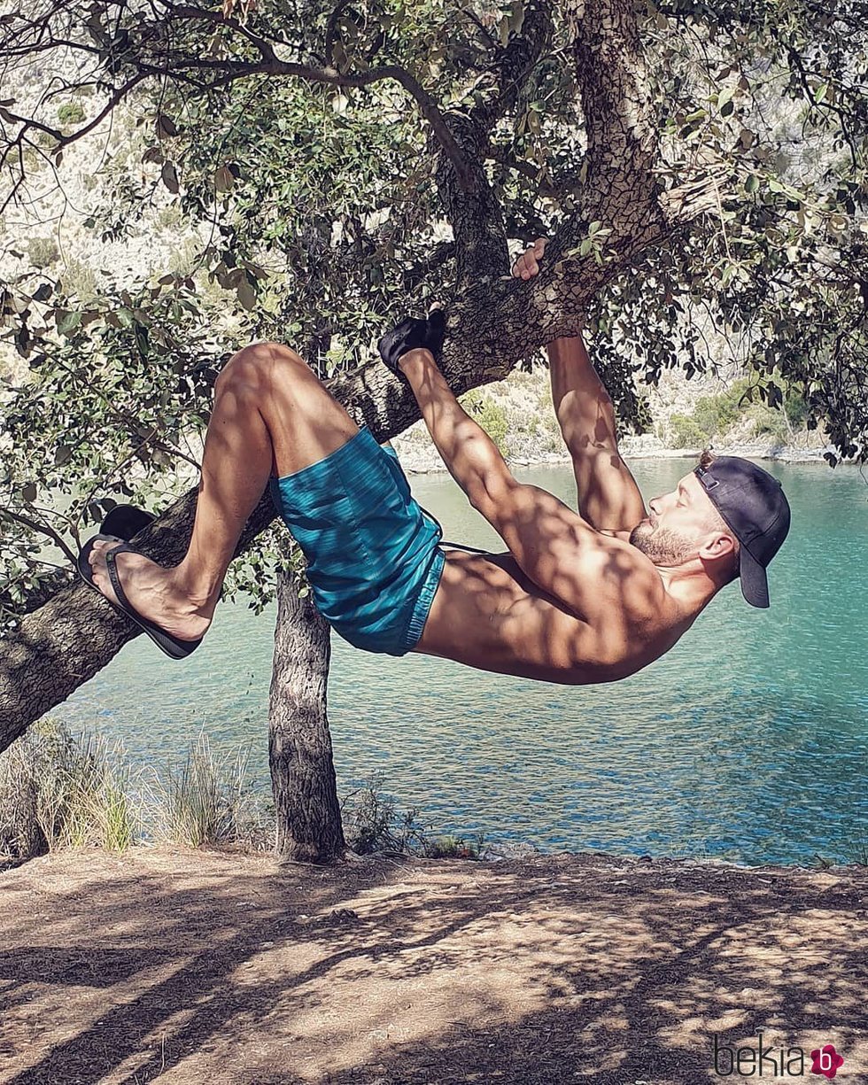 Pablo Alborán subido a un árbol