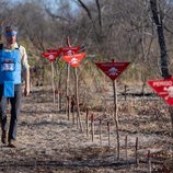 El Príncipe Harry caminando por un campo en el que hubo minas antipersona en Angola