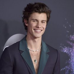 Shawn Mendes en la alfombra roja de los premios AMAs 2019