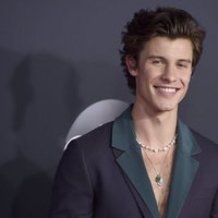 Shawn Mendes en la alfombra roja de los premios AMAs 2019