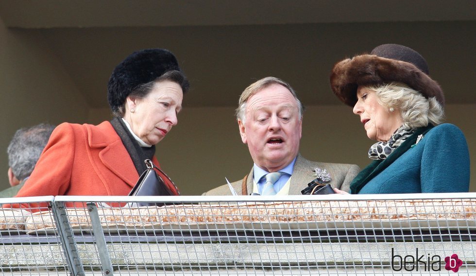 La Princesa Ana, Andrew Parker Bowles y Camilla Parker Bowles