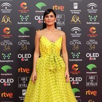 Elena Sánchez en la alfombra roja de los Goya 2020