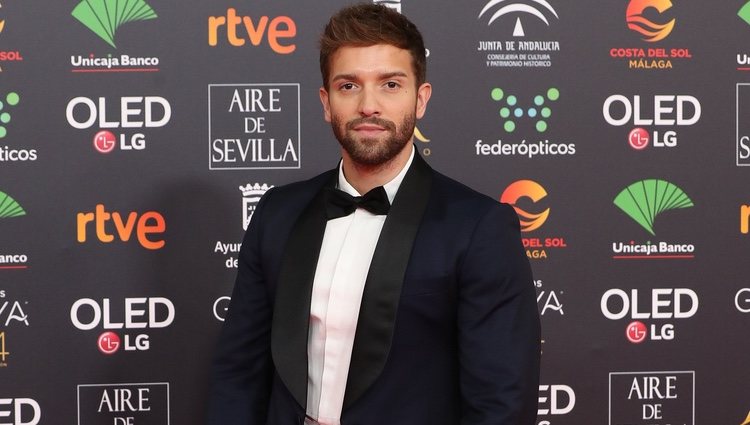 Pablo Alborán en la alfombra roja de los Goya 2020