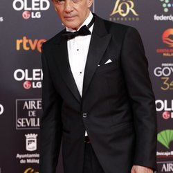 Antonio Banderas en la alfombra roja de los Goya 2020