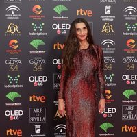 Ángela Molina en la alfombra roja de los Goya 2020