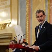 El Rey Felipe VI durante su discurso en la Apertura de la XIV Legislatura