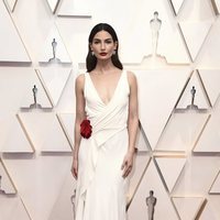 Lily Aldridge en la alfombra de los Oscar 2020