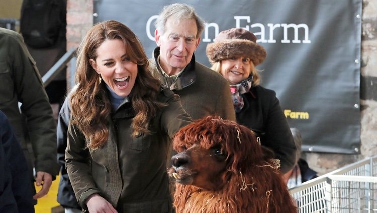 Kate Middleton con una alpaca en una granja en Irlanda del Norte