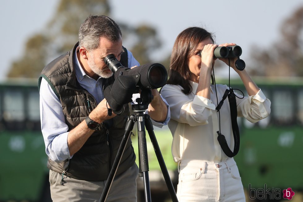 El Rey Felipe VI y la Reina Letizia mirando por unos prismáticos en el Parque Nacional de Doñana