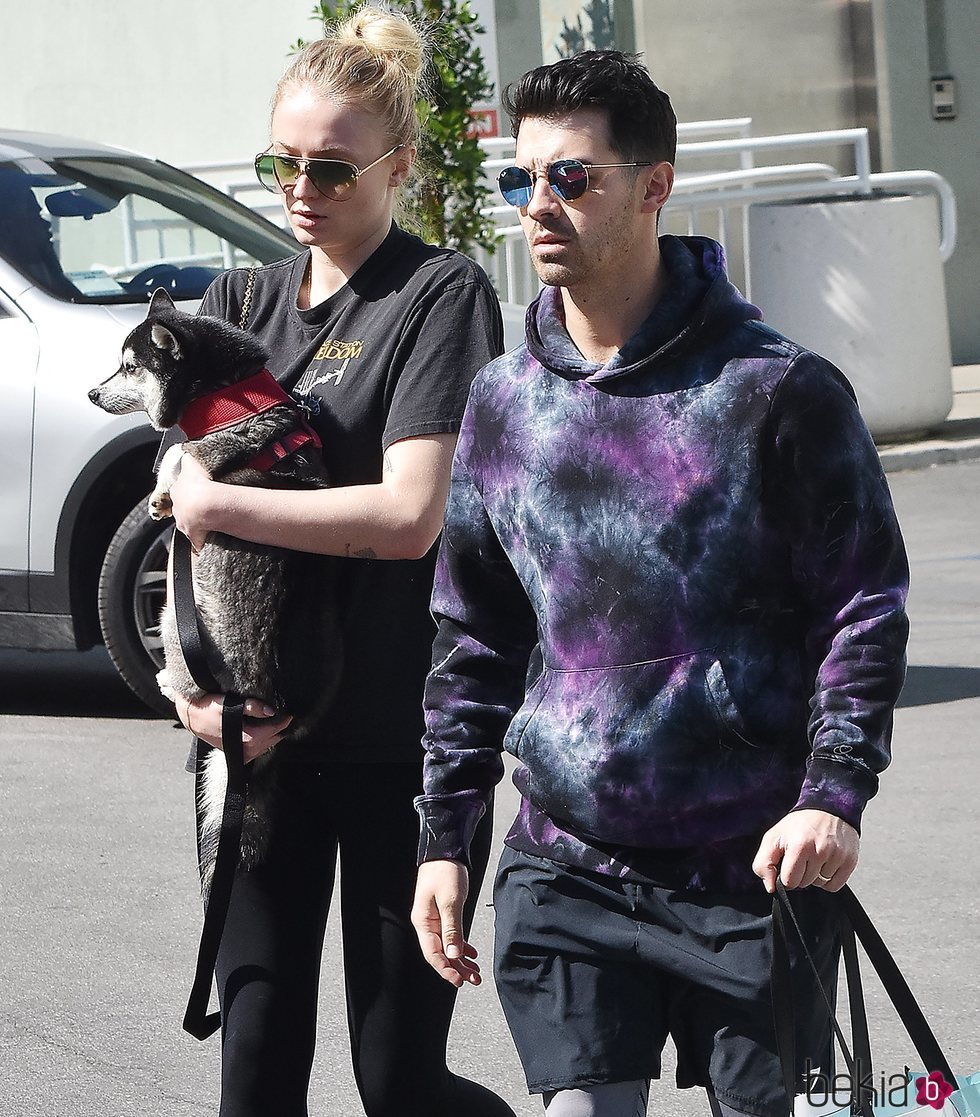 Joe Jonas y Sophie Turner pasean con su perro cogido en brazos