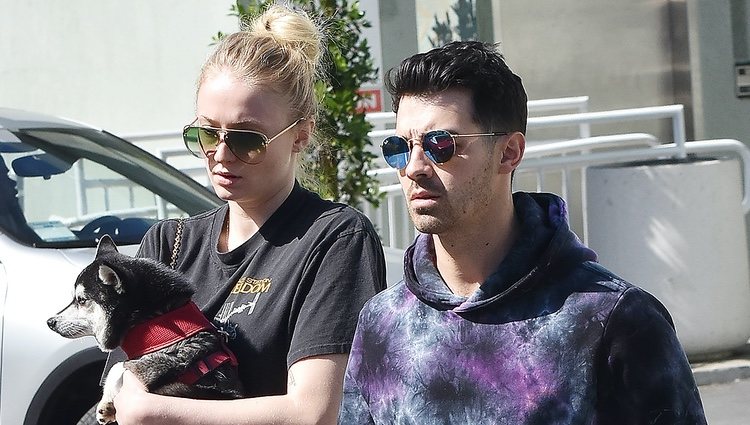 Joe Jonas y Sophie Turner pasean con su perro cogido en brazos