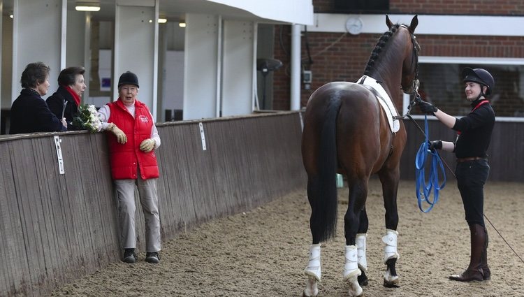 La Princesa Ana durante su visita al Centro Ecuestre de Addington