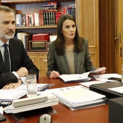 Los Reyes Felipe y Letizia en una videoconferencia con científicos