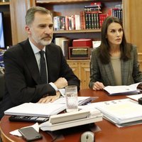 Los Reyes Felipe y Letizia en una videoconferencia con científicos